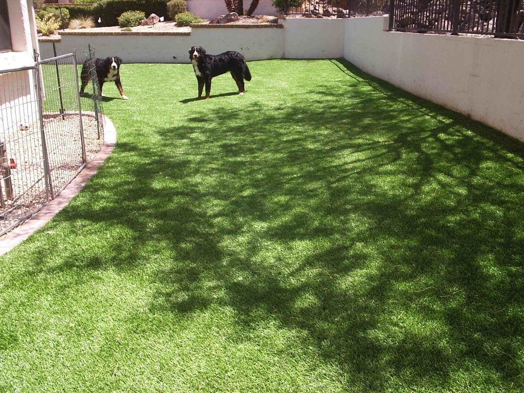 Synthetic Lawn Pet Turf Company Vista, Best Artificial Pet Turf Pricing