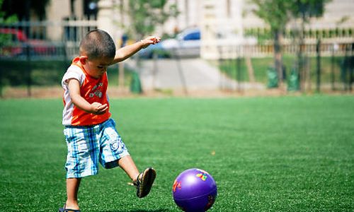 Top Rated Synthetic Turf Company Vista, Artificial Lawn Play Area Company