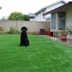 Synthetic Lawn Pet Turf Vista, Top Rated Artificial Grass Installation for Dogs