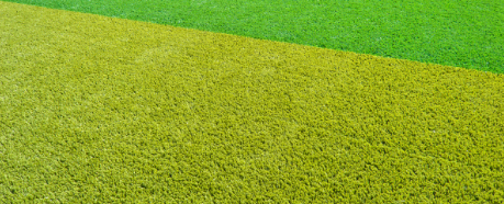 Some Interesting Artificial Grass Facts You Probably Don’t Know Vista