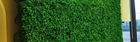 ▷7 Tips To Use Artificial Grass For Wall Decoration Vista