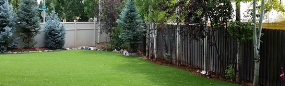 ▷How To Do Dog Park Makeover With Artificial Grass In Vista?